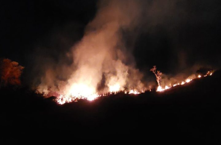 incendio-em-area-de-100-mil-m²-e-controlado-por-defesa-civil-e-bombeiros-em-taubate