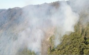 incendio-em-area-de-mata-mobiliza-autoridades-em-cruzeiro-neste-domingo