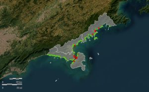 praias-do-litoral-norte-tem-maioria-propria-para-banho-neste-fim-de-semana