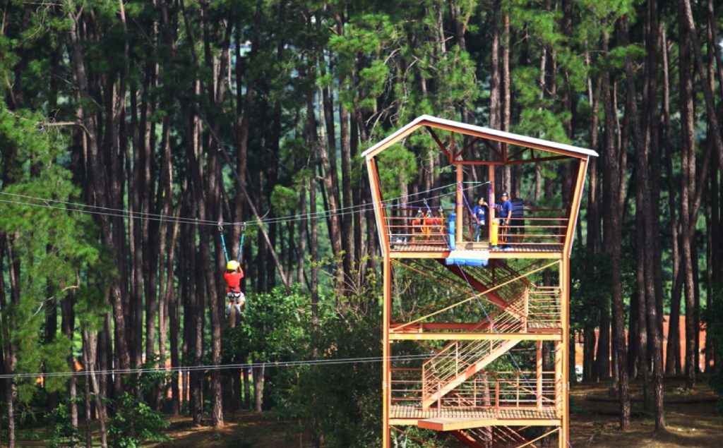 prefeitura-de-sao-jose-dos-campos-realiza-viva-melhor-neste-sabado-no-parque-alberto-simoes