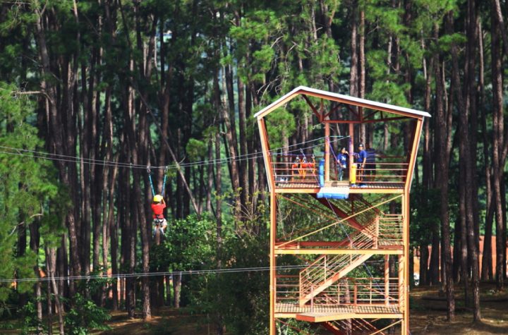 prefeitura-de-sao-jose-dos-campos-realiza-viva-melhor-neste-sabado-no-parque-alberto-simoes