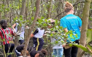 prefeitura-de-sao-sebastiao-e-instituto-supereco-recolhem-mais-de-100-quilos-de-lixo-no-mangue-do-colhereiro