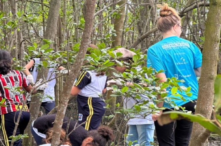 prefeitura-de-sao-sebastiao-e-instituto-supereco-recolhem-mais-de-100-quilos-de-lixo-no-mangue-do-colhereiro