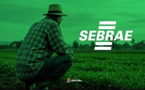 sebrae-de-ubatuba-oferece-cursos-gratuitos-para-empreendedores-e-produtores-rurais-em-setembro