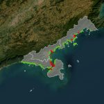 vai-para-o-litoral-norte-neste-fim-de-semana-saiba-quais-praias-estao-proprias-para-banho
