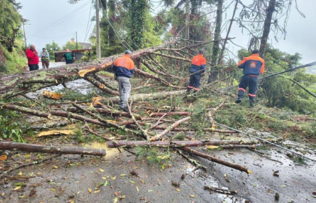 chuva-e-ventania-causam-transtornos-em-campos-do-jordao-no-fim-de-semana