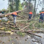 chuva-e-ventania-causam-transtornos-em-campos-do-jordao-no-fim-de-semana