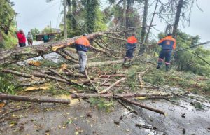 chuva-e-ventania-causam-transtornos-em-campos-do-jordao-no-fim-de-semana