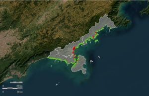 litoral-norte-cetesb-divulga-boletim-de-balneabilidade-com-maioria-das-praias-proprias-para-banho
