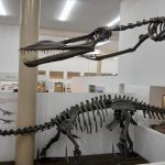 museu-de-historia-natural-de-taubate-promove-atividades-sobre-dinossauros-neste-fim-de-semana