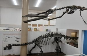 museu-de-historia-natural-de-taubate-promove-atividades-sobre-dinossauros-neste-fim-de-semana