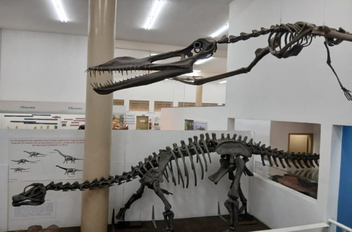 museu-de-historia-natural-de-taubate-promove-atividades-sobre-dinossauros-neste-fim-de-semana