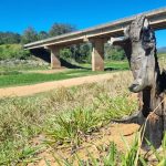 represa-jaguari-jacarei-atinge-menor-nivel-dos-ultimos-9-anos-devido-a-seca