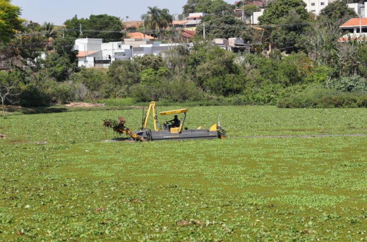 sao-jose-dos-campos-conclui-limpeza-do-lago-do-pousada-do-vale-e-inicia-manutencao-no-lago-do-torii-slug-para-url