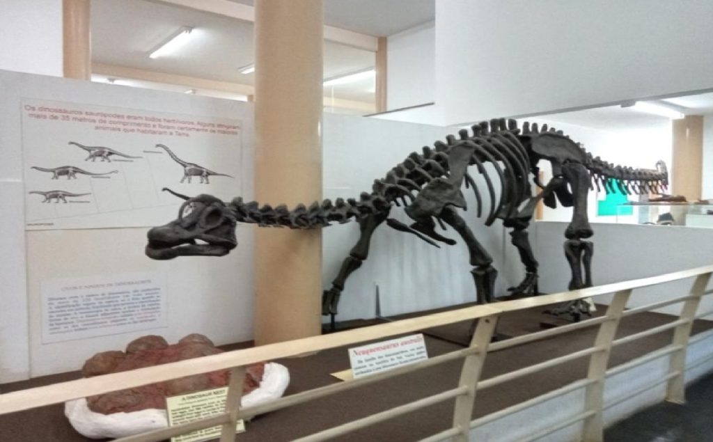 taubate-recebe-lancamento-de-livro-sobre-paleontologia-no-vale-do-paraiba-neste-sabado