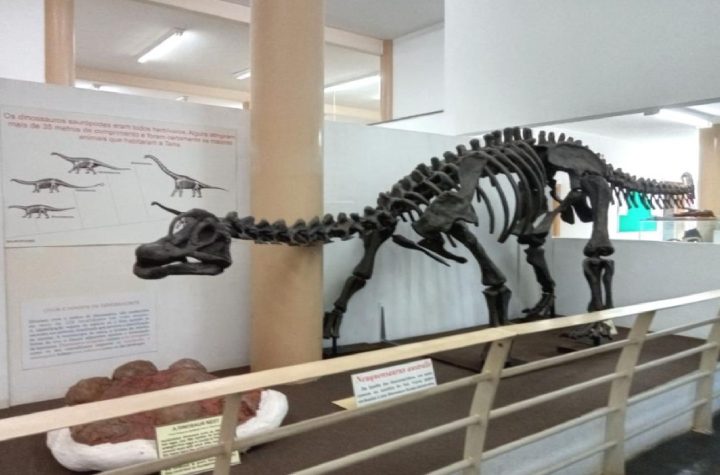 taubate-recebe-lancamento-de-livro-sobre-paleontologia-no-vale-do-paraiba-neste-sabado