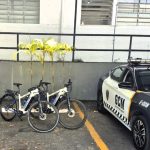 guarda-municipal-recupera-mudas-furtadas-no-parque-da-cidade-em-sao-jose-dos-campos