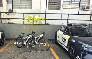 guarda-municipal-recupera-mudas-furtadas-no-parque-da-cidade-em-sao-jose-dos-campos