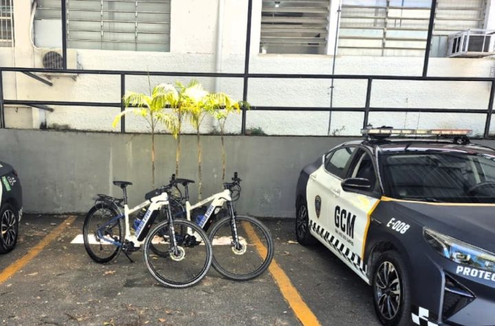 guarda-municipal-recupera-mudas-furtadas-no-parque-da-cidade-em-sao-jose-dos-campos