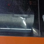 pindamonhangaba-investiga-possivel-disparo-contra-onibus-na-dutra-passageiro-fica-ferido