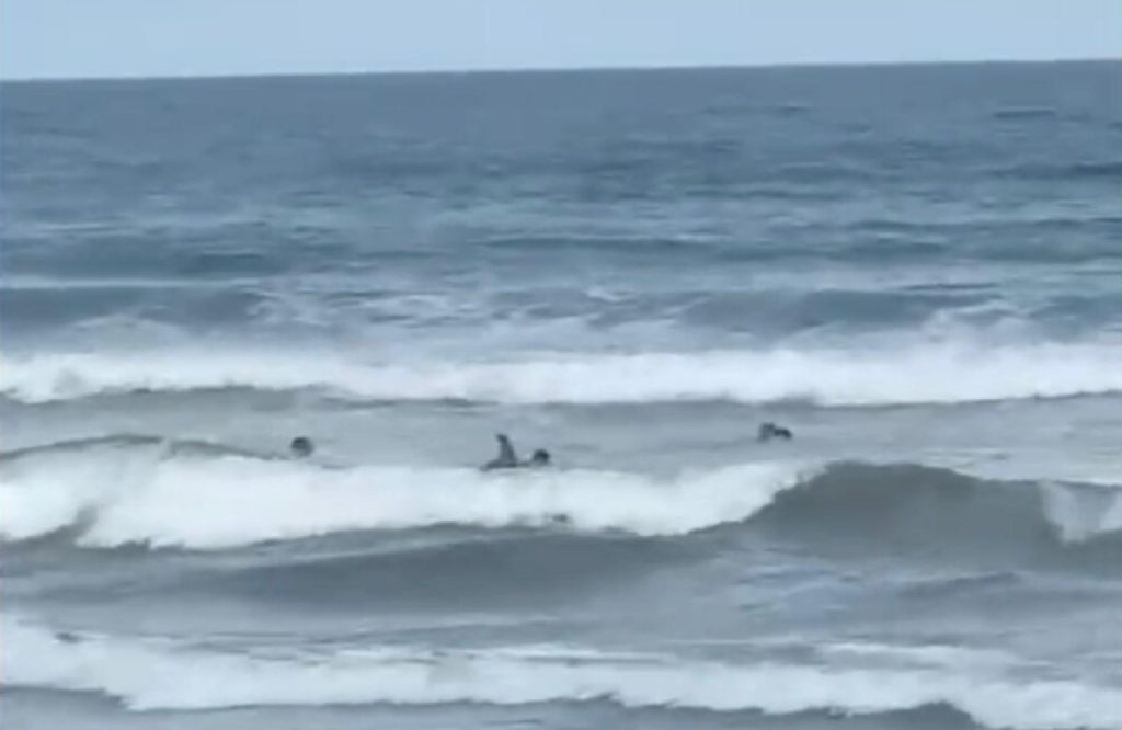 surfistas-encontram-corpo-de-homem-na-praia-grande-em-ubatuba