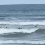 surfistas-encontram-corpo-de-homem-na-praia-grande-em-ubatuba