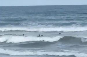 surfistas-encontram-corpo-de-homem-na-praia-grande-em-ubatuba