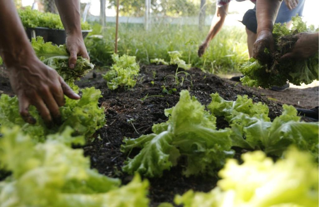 taubate-abre-inscricoes-para-oficinas-do-programa-estrategia-alimenta-cidade