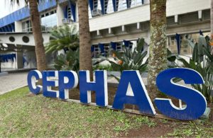 vestibulinho-2026-do-cephas-em-sao-jose-dos-campos-tem-inscricoes-prorrogadas