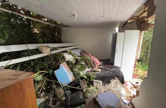 Campos do Jordão registra quase 80 mm de chuva em 24 horas