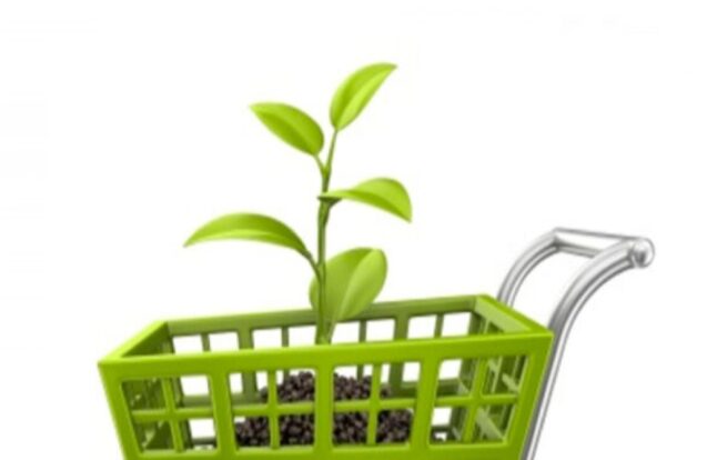Como saber se um produto é sustentável antes de comprar no Vale, Litoral e Mantiqueira