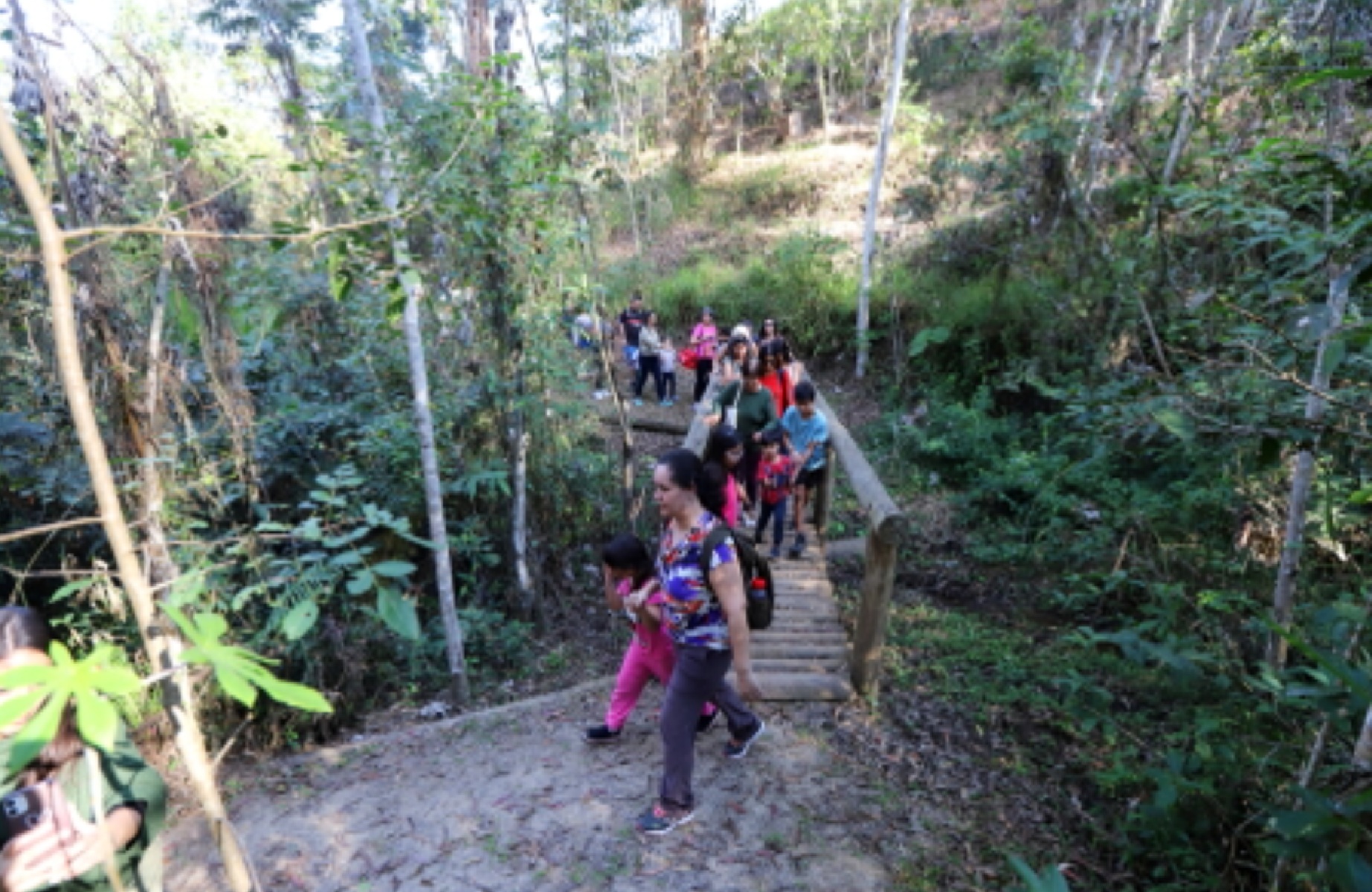 Jacareí tem evento gratuito no Viveiro com feira, oficinas e trilhas neste domingo