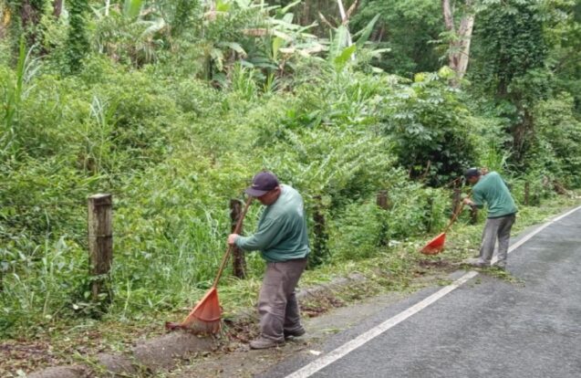 Prefeitura faz roçada na Estrada do Macuco e reforça manutenção na zona rural de Taubaté