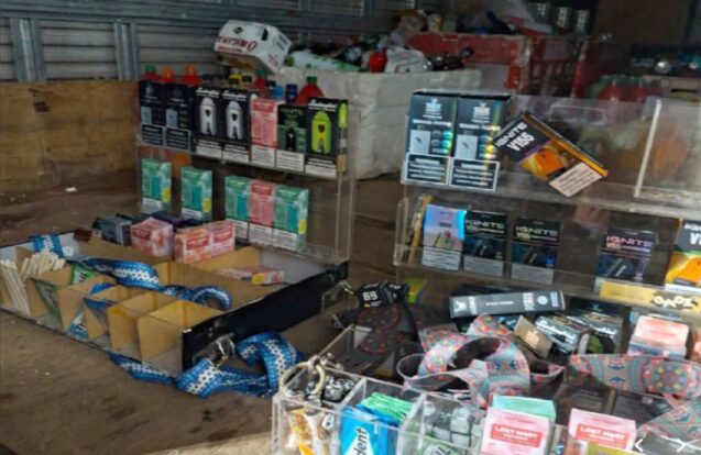 São Sebastião intensifica fiscalização contra comércio irregular nas praias e eventos