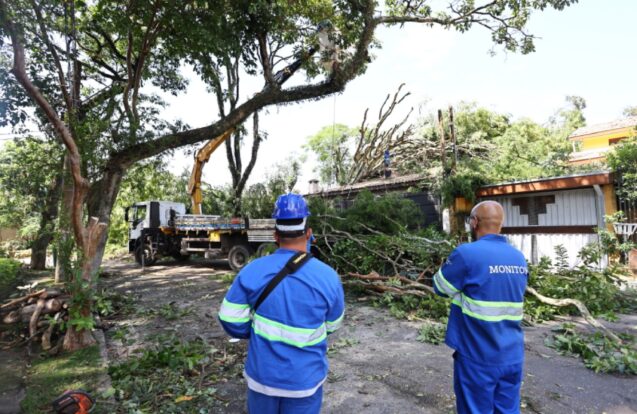 Temporal causa quedas de árvores e estragos em São José dos Campos