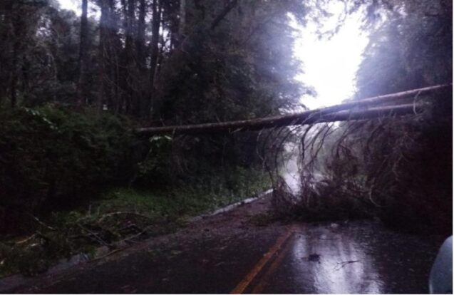 Campos do Jordão: Rodovia de acesso segue interditada após chuvas