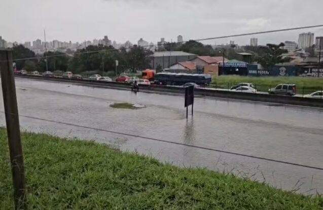 Chuva forte alaga trecho da Dutra em Taubaté e derruba árvores em São José
