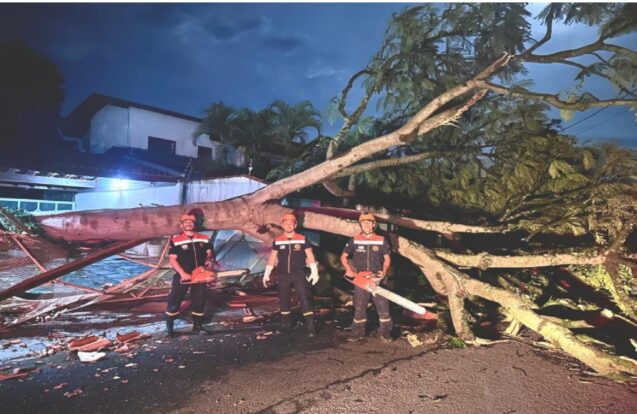 Defesa Civil de Pindamonhangaba age rápido após chuvas e ventos fortes
