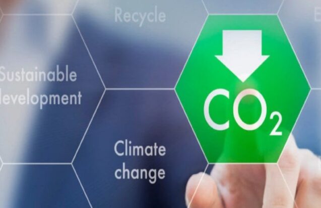 Mercado de Carbono ganha espaço no Vale do Paraíba e região como oportunidade ambiental e econômica