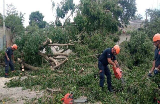 Tempestade causa 66 ocorrências e mobiliza Defesa Civil em Pindamonhangaba