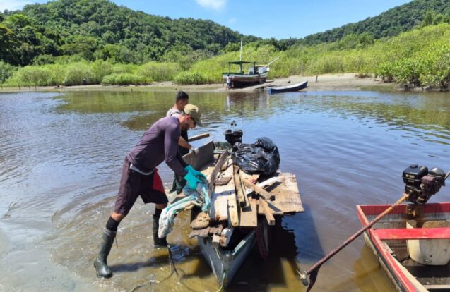 🌊 Mutirões vão limpar manguezais e ajudar renda de pescadores no Litoral Norte