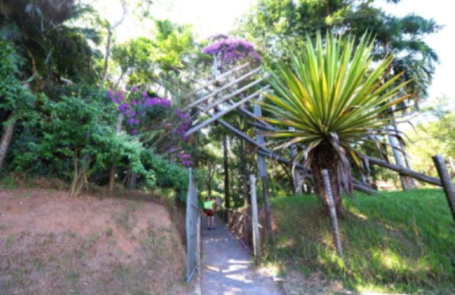 🌿 Carnaval e natureza se encontram em evento especial em Jacareí