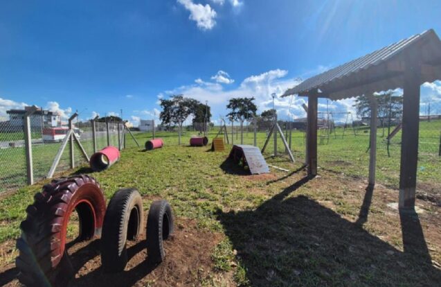 Pindamonhangaba ganha novo espaço para pets em praça pública