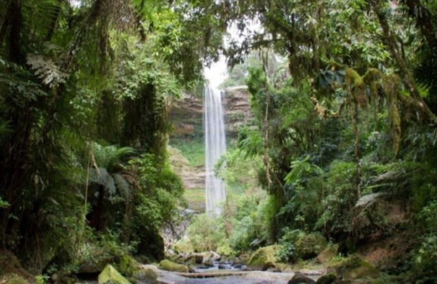 Vale do Paraíba e Serra da Mantiqueira entenda a diferença entre APA e APP