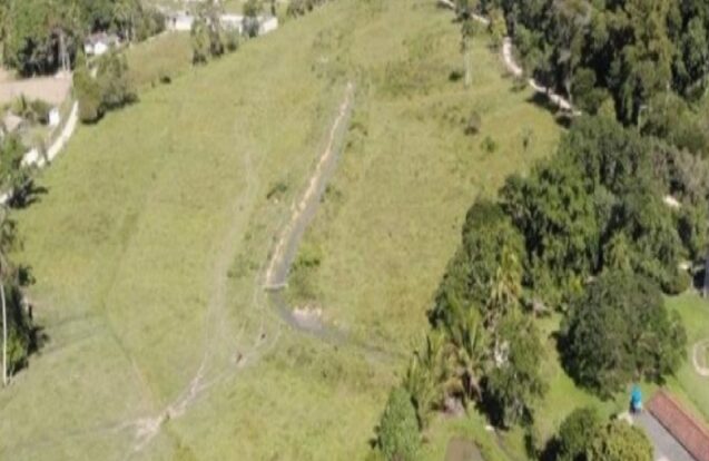 Caraguatatuba intensifica fiscalização e aplica multas por crimes ambientais