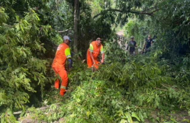 Chuva com vento mobiliza equipes, mas sem danos graves em São Sebastião