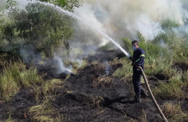 Incêndio em área de vegetação mobiliza Defesa Civil em Taubaté