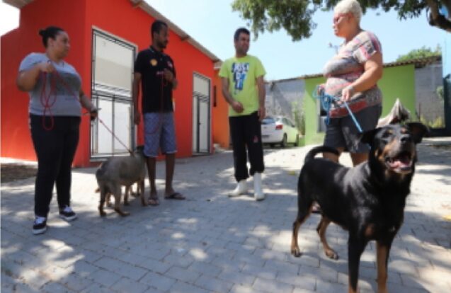 Jacareí abre cadastro para protetores de animais e ONGs da causa animal