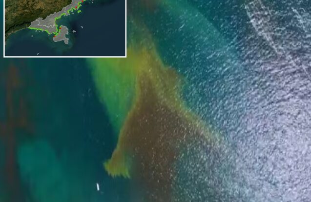 Praias do Litoral Norte estão próprias, mas mancha no mar acende alerta em Ilhabela