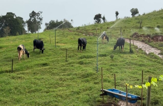 Programa ambiental transforma propriedades rurais no Vale do Paraíba